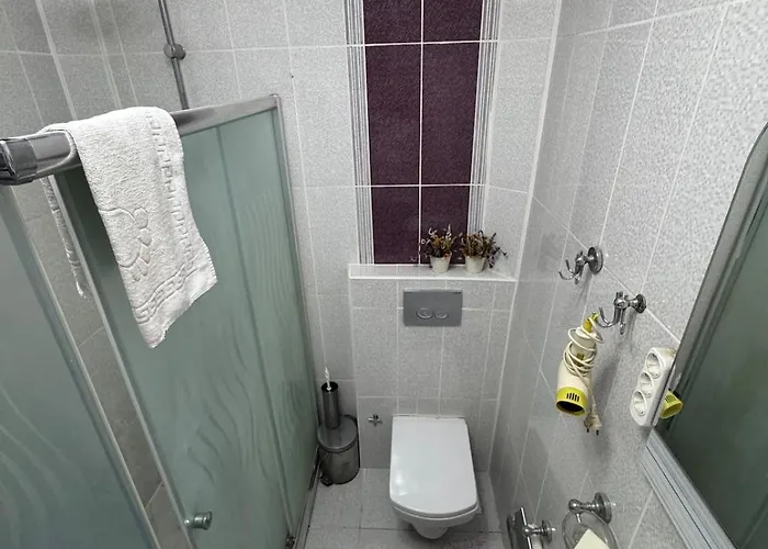 Balloons View Cozy Garden In Cappadocia